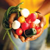 food distribution system food distribution system