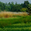 Conversations with conservationists wildlife conservation