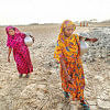 What does salinity have to do with SRHR anyway? sexual harassment