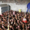 Bird flu outbreak: Will it cause the next pandemic? Bird flu outbreak: Will it cause the next pandemic?