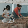 How volunteering enhances your well-being and society  How volunteering enhances your well-being and society