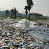 A riverine horror show Woeful state of three rivers