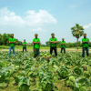Agri-tech startup Fashol raises Tk 10 Crore pre-seed funding Agri-tech startup Fashol Tk 10 Crore pre-seed funding