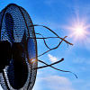 How to beat the growing summer heat How to beat the growing summer heat