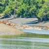 Nature conservation Besides forex reserves, nature needs replenishing too