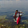 Water safety in Bangladesh  Water safety in Bangladesh