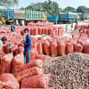 India moves to curb onion exports India moves to curb onion exports