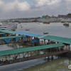 Cyclone Mocha: Water vessel movement resumes Cyclone Mocha