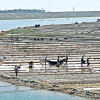 BSCIC to set up salt research and training institute salt production