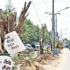 Saat Masjid Road: Trees felled for facelift, a new median strip Tree felling on Saat Masjid Road