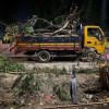 Why I feel suffocated by Dhanmondi Trees felled in Satmasjid Road