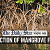 Mangroves are there for a reason destruction of mangrove forests in Chattogram, Cox's Bazar