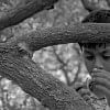 ‘Aam Kathaler Chhuti’ selected in Russia’s Cheboksary Int’l Film Festival ‘Aam Kathaler Chhuti’ selected in Russia’s Cheboksary Int’l Film Festival