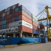 Export bounces back in May Export bounces back in May