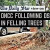 Dhaka can’t afford losing more greenery