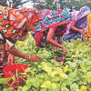Women’s land rights Women’s land rights