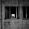 Man waving at his own reflection.