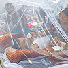 dengue deaths in Bangladesh dengue deaths in Bangladesh