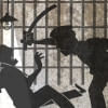 police powers in bangladesh police powers in bangladesh