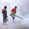 Dengue Crisis: No alternative to a long-term plan Dengue Crisis