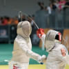 Unsheathing the potential of fencing in Bangladesh Unsheathing the potential of fencing in Bangladesh