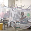 Dengue Outbreak: Dhaka saw most deaths this season
