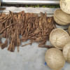Borni village: Where bamboo crafts tell the story of skill and heritage Borni village: Where bamboo crafts tell the story of skill and heritage