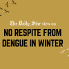Dengue raging on  dengue in winter