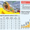 Govt publishes gazette on new RMG wage