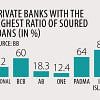 Six private banks’ bad loans soar 55pc in nine months
