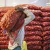 Onion import from India Onion import from India