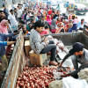 Onion prices soar despite sufficient supply