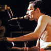 Freddie Mercury Freddie Mercury