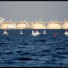 Govt to buy LNG Govt to buy LNG