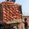Potato imports Potato imports