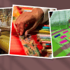 Tangail saris: Caught in the crossfire of geographical indication Tangail Sari