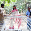 Roadmap to GI status for Tangail Saree – A comprehensive look GI status for Tangail Saree
