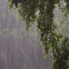 Rain likely in five divisions Rain likely in five divisions