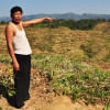 Hills in Bandarban terraced for rubber plantation Hills in Bandarban terraced for rubber plantation