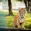 New era for zoo animals in Bangladesh: Rangpur and National Zoos’ modern makeover New era for zoo animals in Bangladesh: Rangpur and National Zoos’ modern makeover