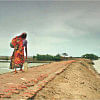 World Water Day 2024 World Water Day 2024