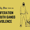 Youth gangs