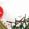 The shadow lines of Bangladesh's birth The shadow lines of Bangladesh's birth