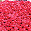 Yaba now selling online Yaba now selling online
