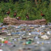 Plastic treaty
