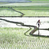 Agrarian question in bangladesh  Agrarian question in bangladesh