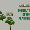 Underutilisation of DNCC tree planting budget DNCC tree planting budget