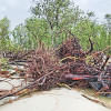 Cyclone Remal | Sundarbans saves Bangladesh but pays a heavy price Cyclone Remal | Sundarbans saves Bangladesh but pays a heavy price
