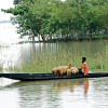 Flash flood in Sylhet: 6.43 lakh people stranded in eight upazilas Flash flood in Sylhet: 6.43 lakh people stranded in eight upazilas
