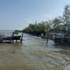 Recovery challenges in the Sundarbans after cyclones Recovery challenges in the Sundarbans after cyclones